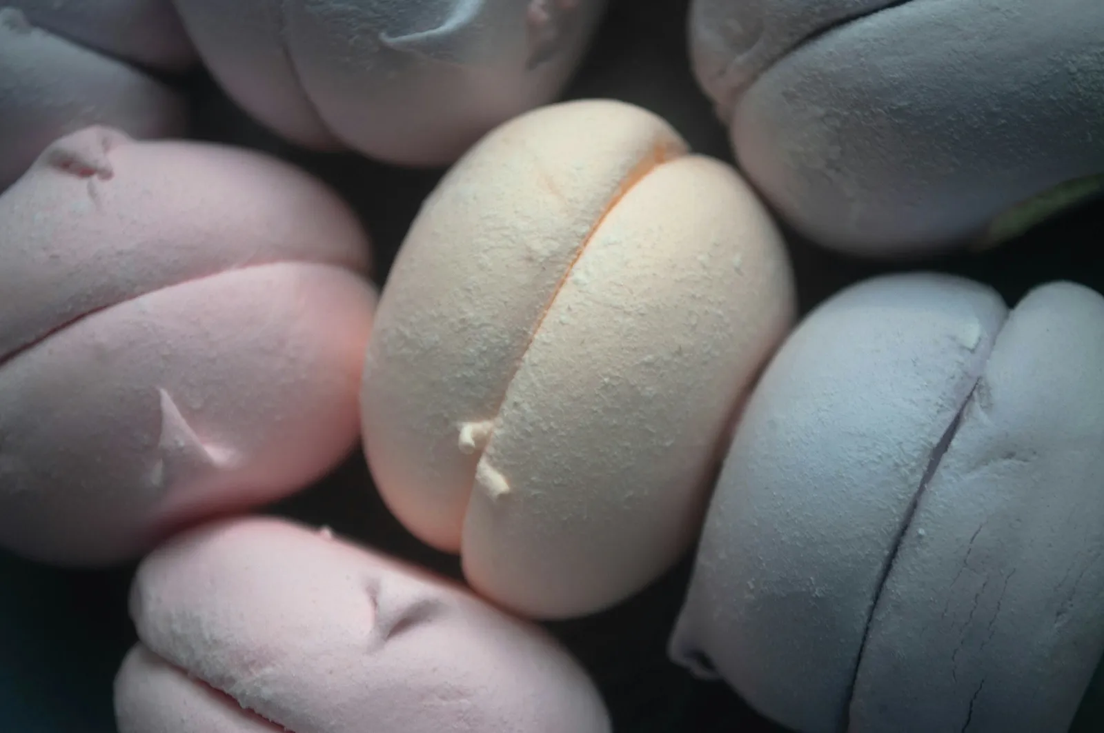 Gros plan sur des guimauves moelleuses aux tons pastel